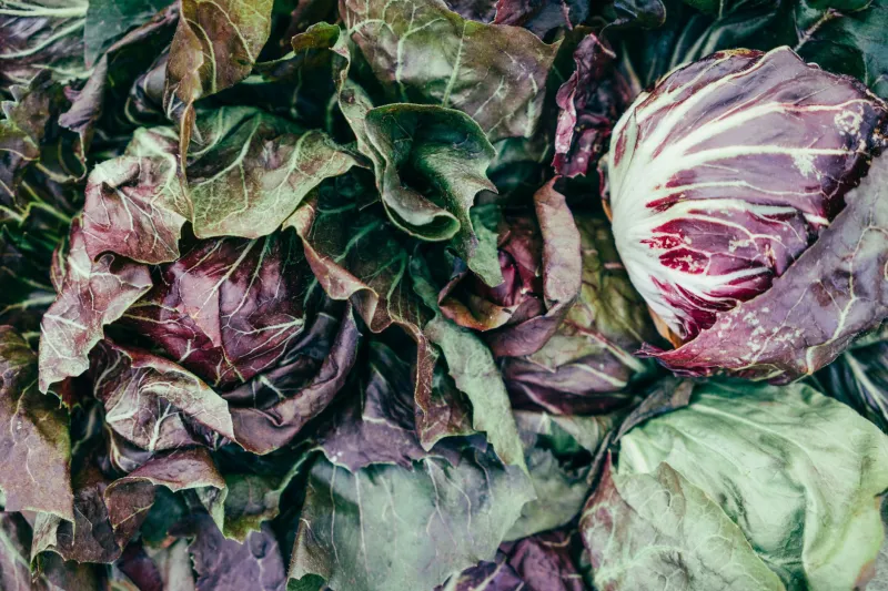 Why a Little Poison Might Be Exactly What Your Detox Is Missing
